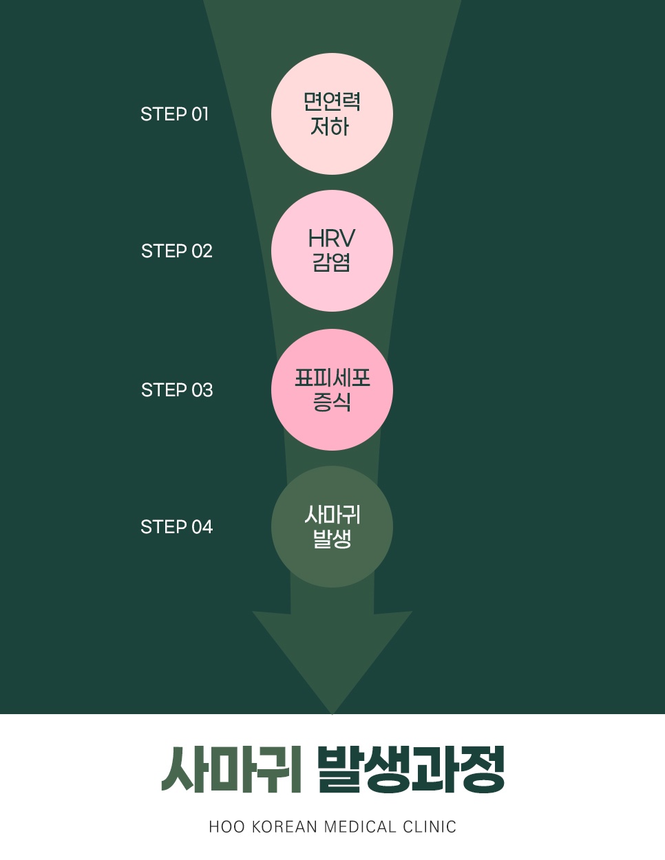 면역력 저하에서 HPV 감염, 표피세포 증식을 거쳐 사마귀가 생기는 4단계 발생과정